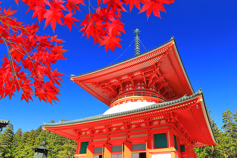 Osaka Private Tour - 