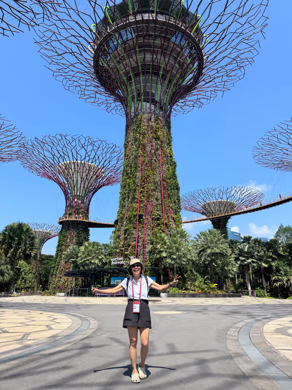 Singapore Private Tour - Supertree Grove