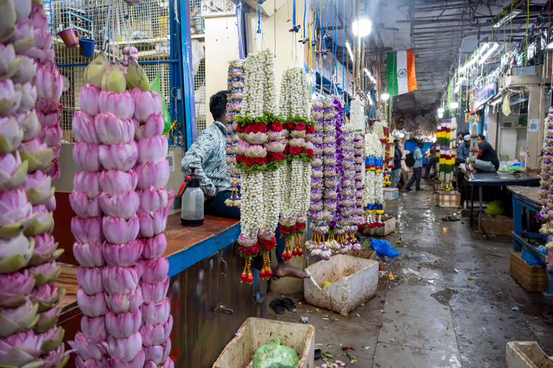 Bangalore Private Tour - Devaraja market
