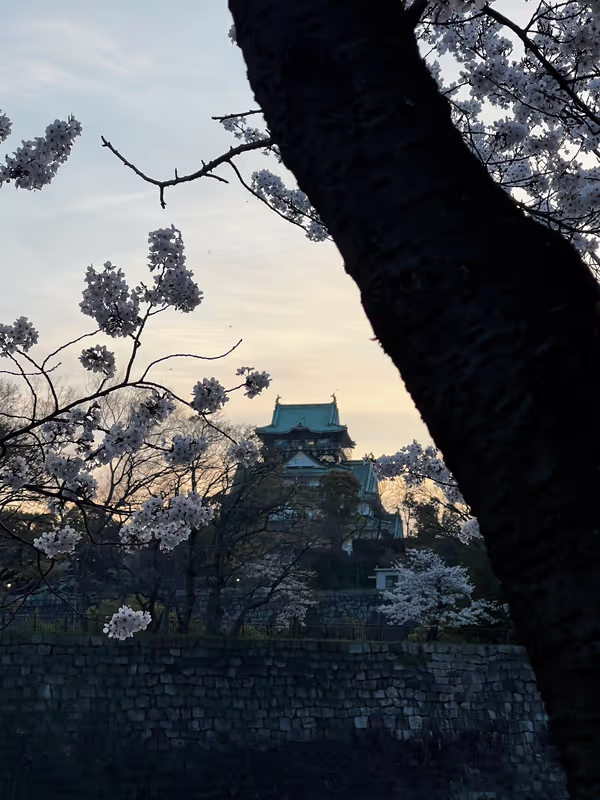 Osaka Private Tour - 