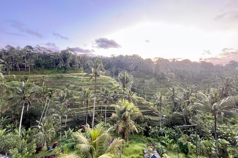 Bali Private Tour - Tegallalang rice terrace