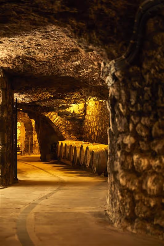 Chateau-Thierry Private Tour - Champagne cave