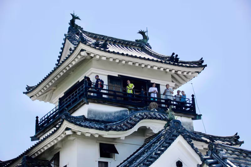 Kochi Private Tour - Kochi Castle