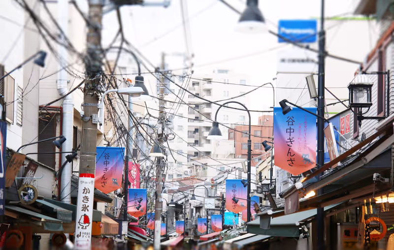 Tokyo Private Tour - 