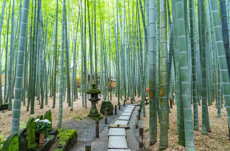 Tokyo Private Tour - 