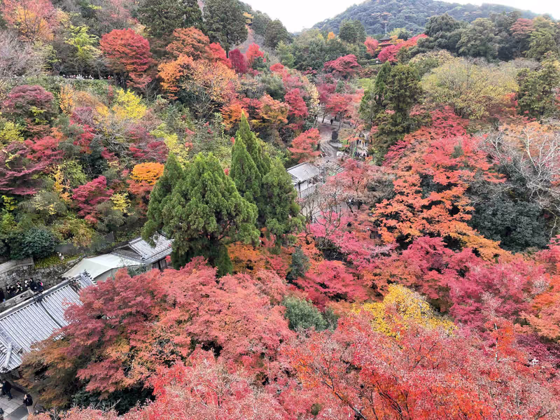 Kyoto Private Tour - 