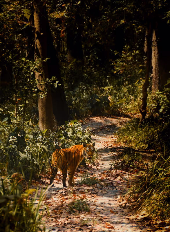 Bagmati Private Tour - 