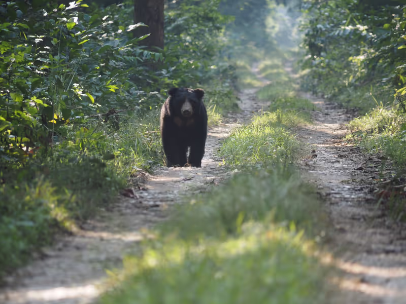 Narayani Private Tour - 