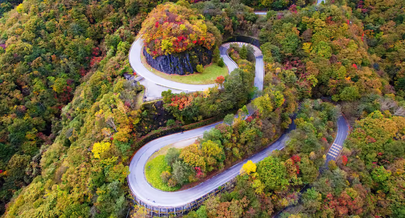 Tokyo Private Tour - 