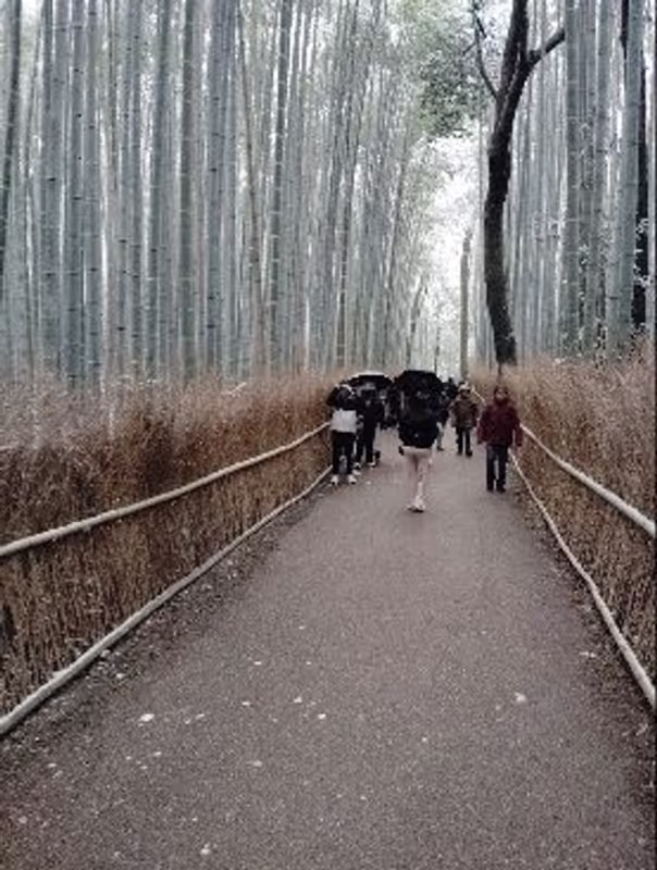 Kyoto Private Tour - 