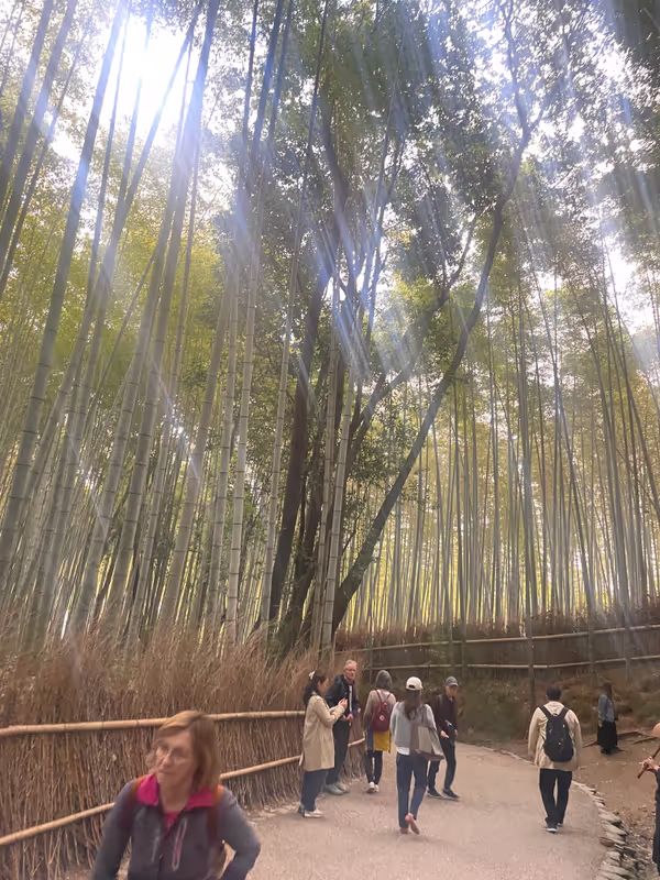 Kyoto Private Tour - Bamboo forest