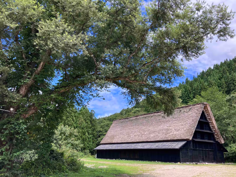 Toyama Private Tour - 