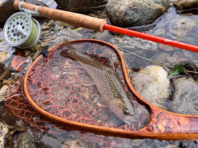 Toyama Private Tour - 