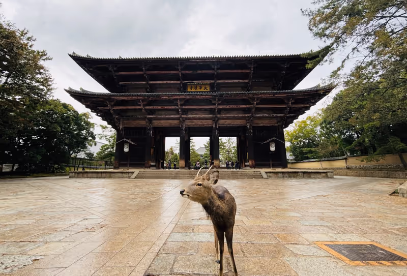 Nara Private Tour - 