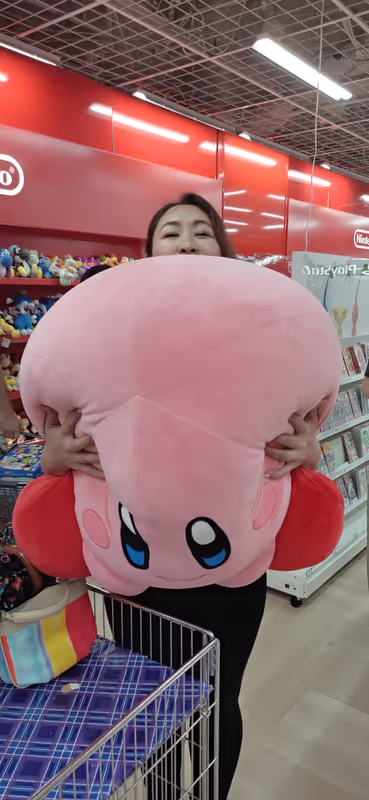 Osaka Private Tour - Yodobashi Camera