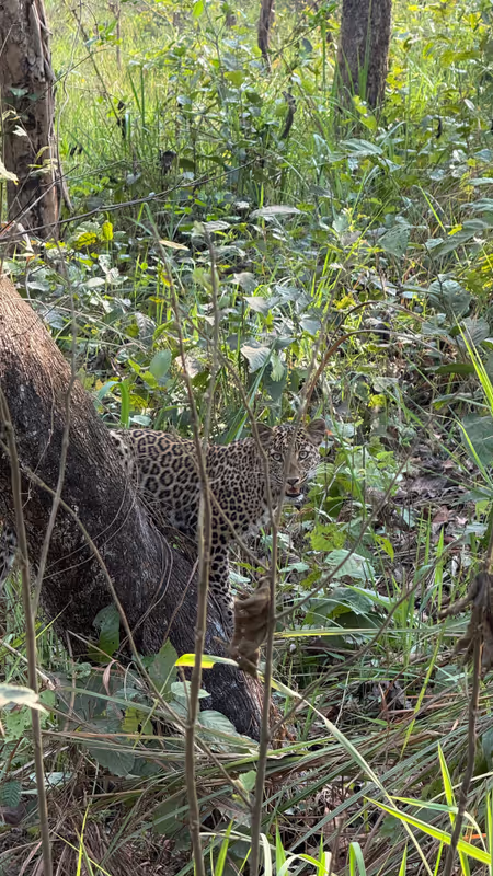 Narayani Private Tour - 