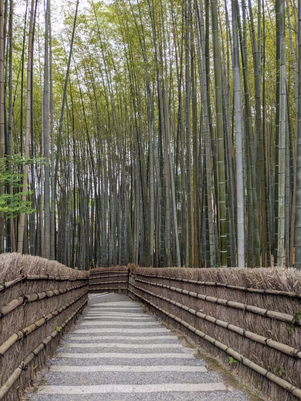 Kyoto Private Tour - Bamboo Forest