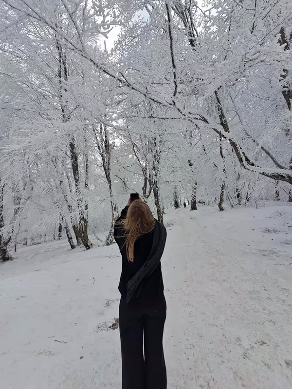 Tbilisi Private Tour - 