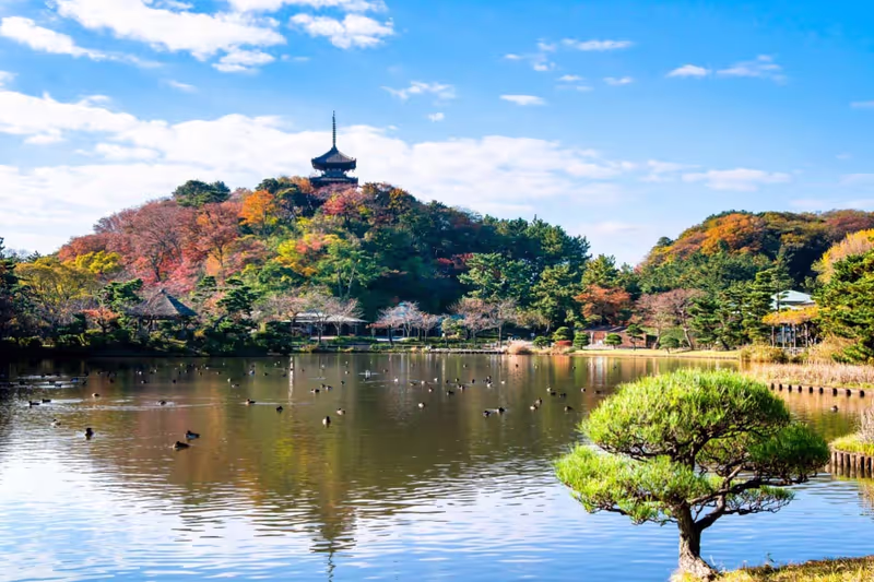 Yokohama Private Tour - spacious traditional Japanese garden that blends n