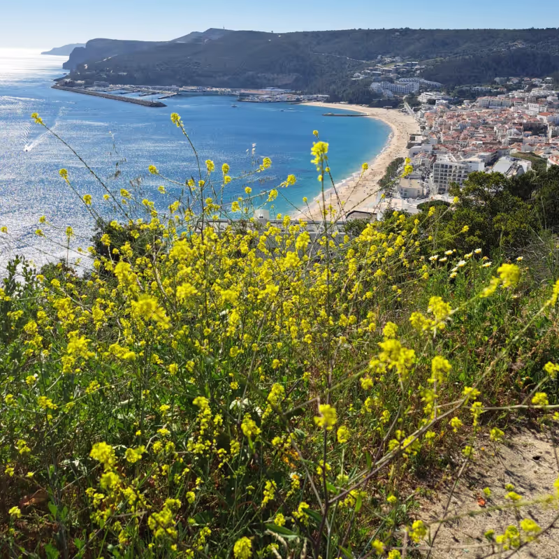 Lisbon Private Tour - 