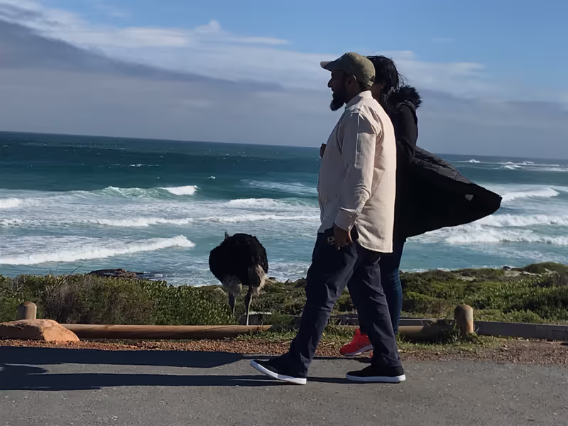 Cape Town Private Tour - 