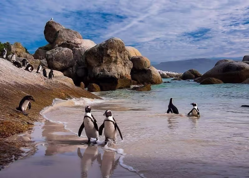 Cape Town Private Tour - 