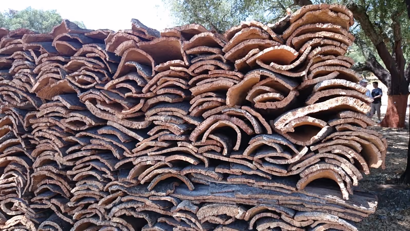 Evora Private Tour - Cork