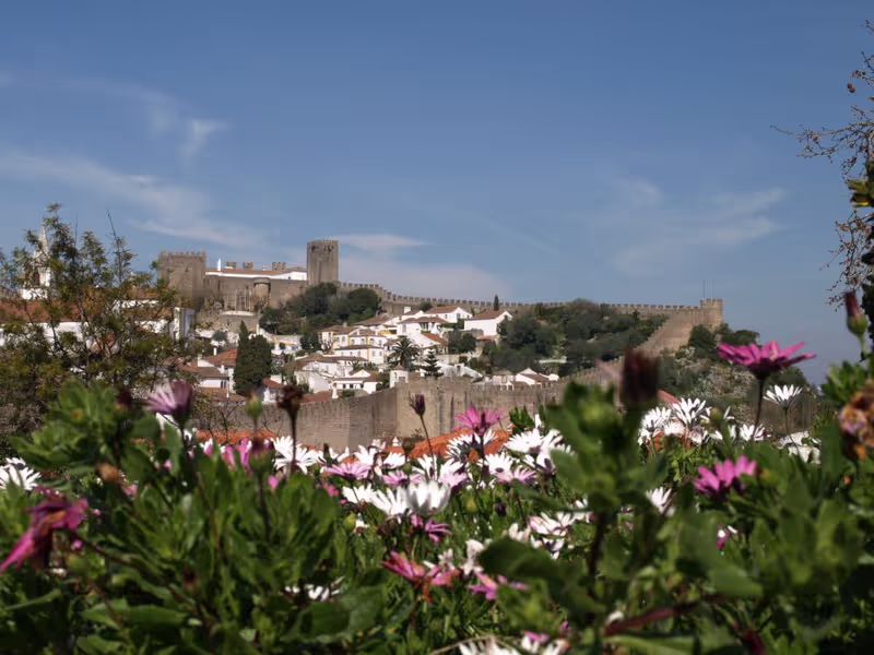 Lisbon Private Tour - Óbidos