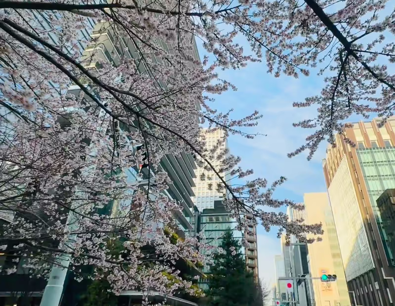 Narita Private Tour - 