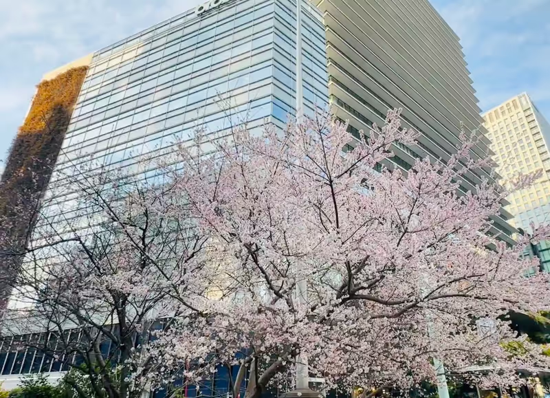 Narita Private Tour - 