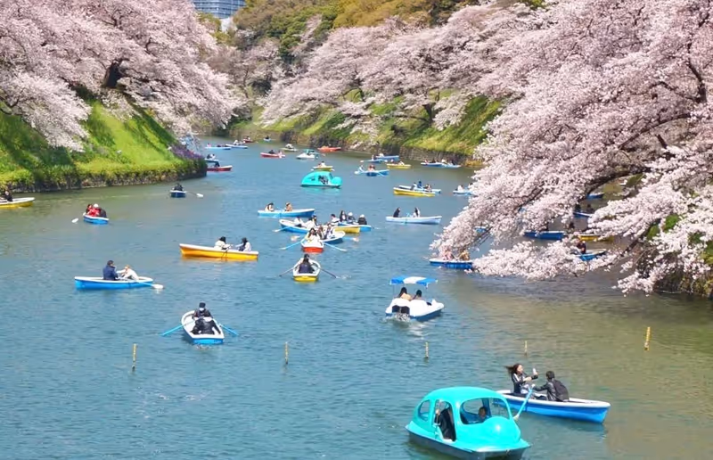 Narita Private Tour - 