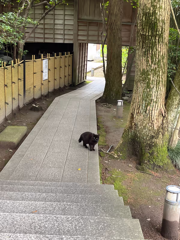 Kanazawa Private Tour - Utasu Shrine