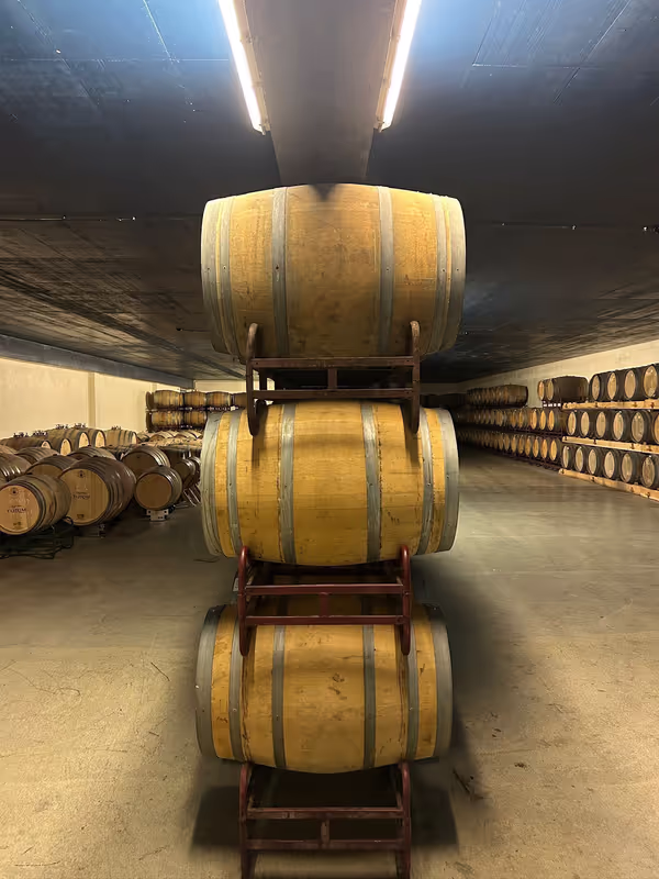 Lisbon Private Tour - Quinta de Catralvos Barrels Room
