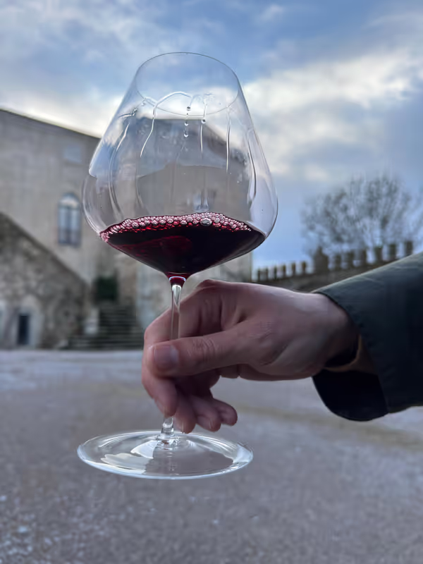 Lisbon Private Tour - An Alentejo bold red wine