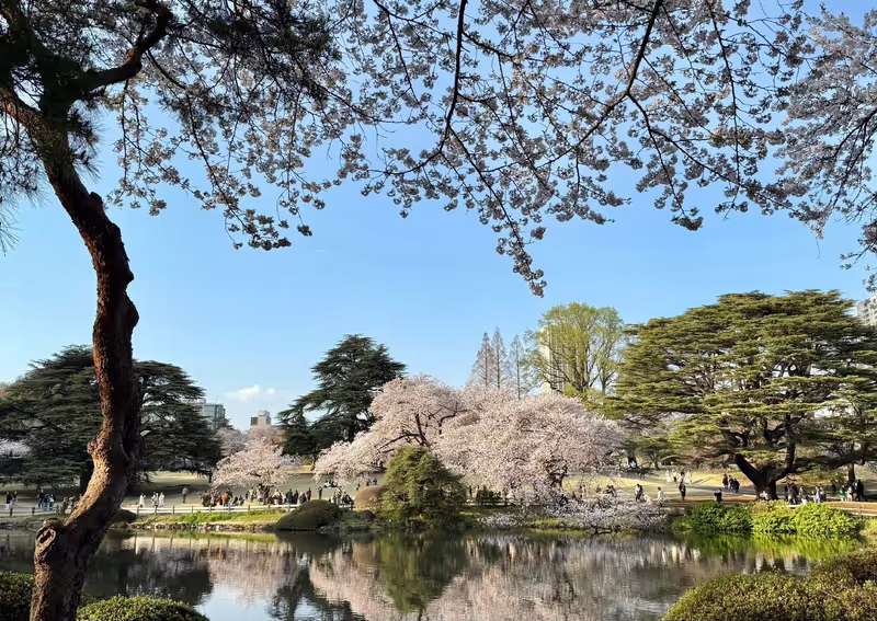 Narita Private Tour - 