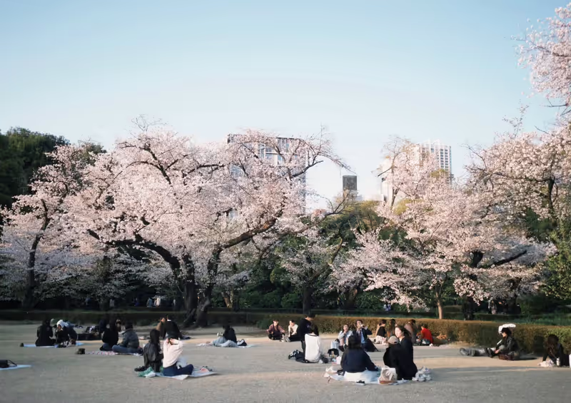 Narita Private Tour - 