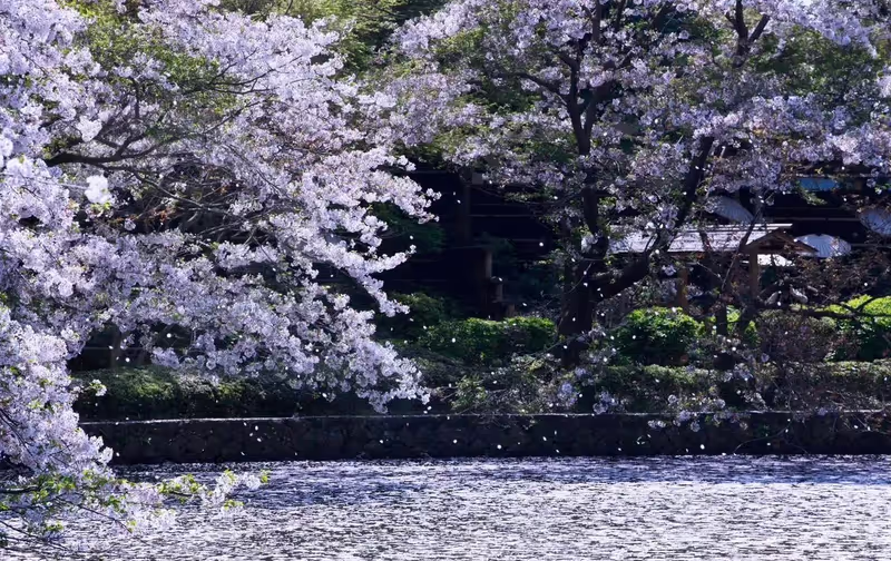 Narita Private Tour - 