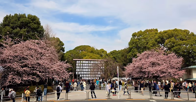 Narita Private Tour - 