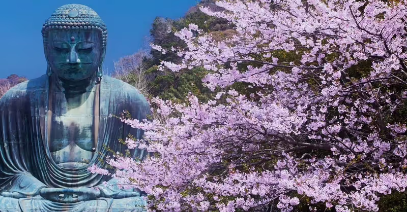 Narita Private Tour - 