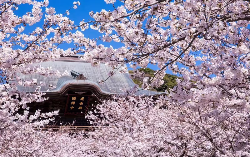 Narita Private Tour - 