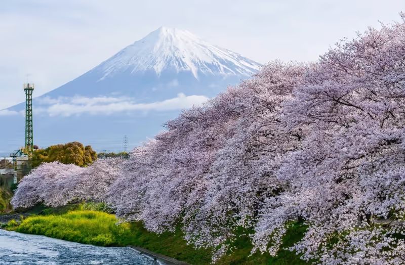 Narita Private Tour - 