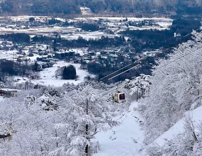 Narita Private Tour - 