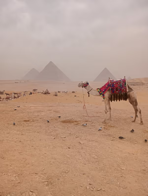 Giza Private Tour - 