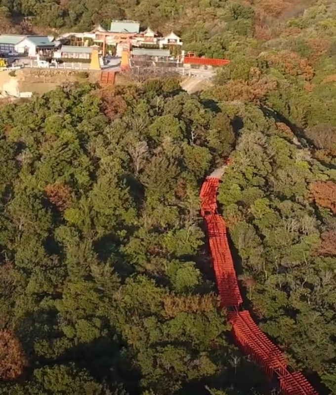 Fukuoka Private Tour - Senbon torii view from above