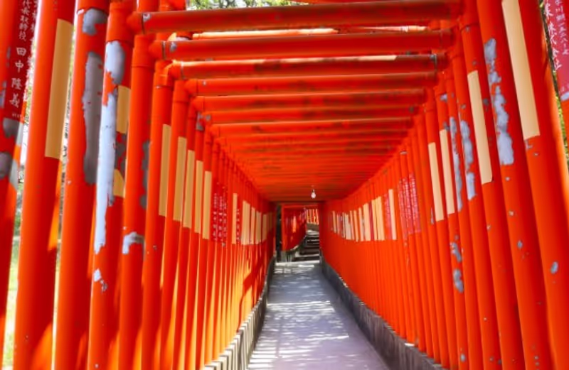 Fukuoka Private Tour - The Senbon Torii Gates (Thousand Torii Gates)