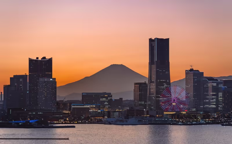 Narita Private Tour - 