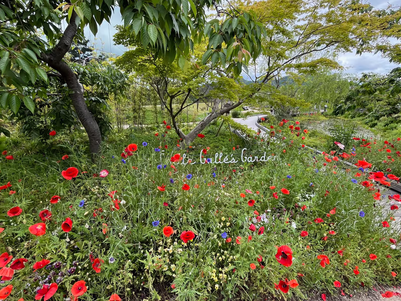Hiroshima Private Tour - Museum Garden
