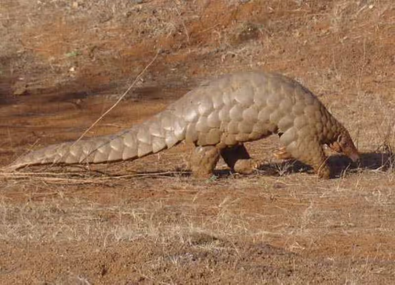 Jaipur Private Tour - 