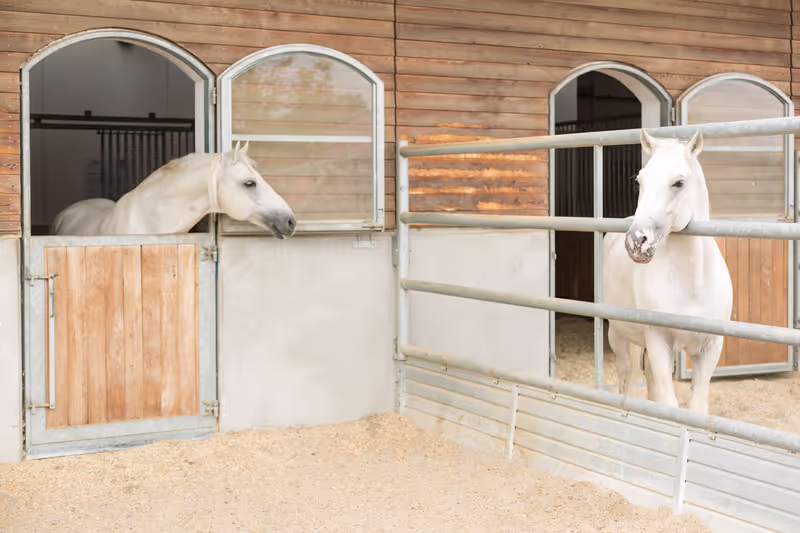 Vienna Private Tour - 