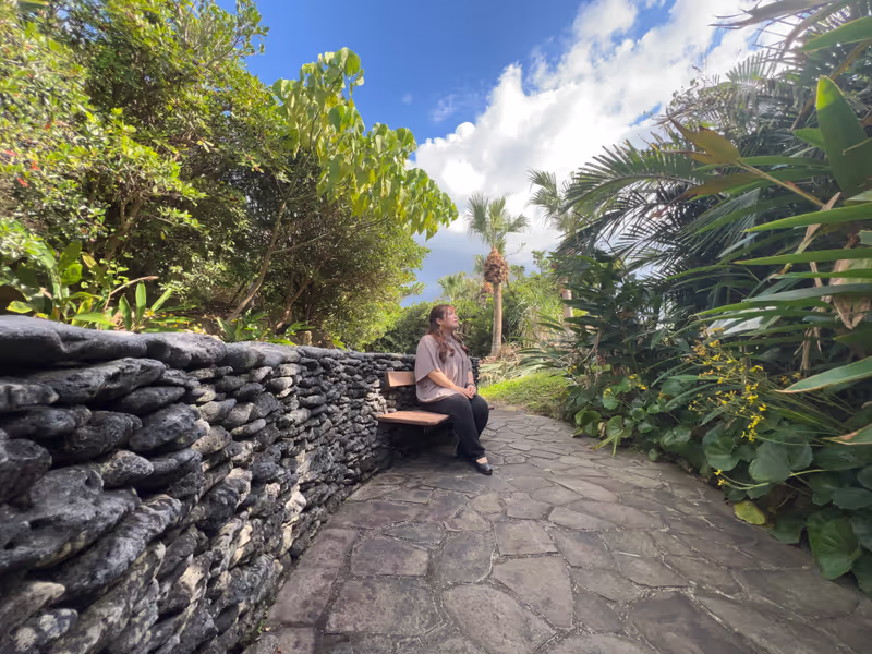 Amami Private Tour - A quiet moment in the forest of  Isson